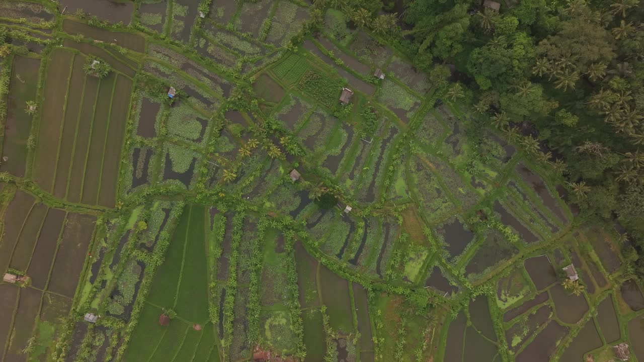 鸟瞰巴厘岛武吉信达梯田和阿贡火山。视频素材