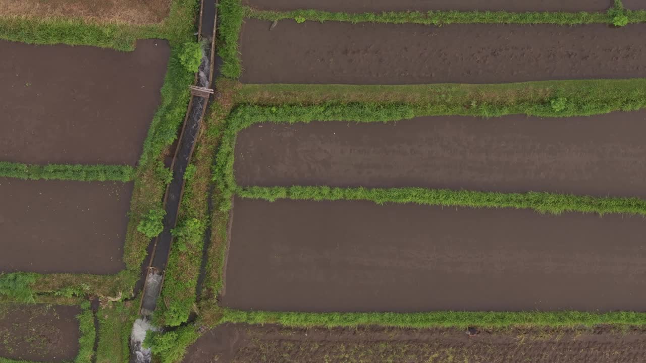 鸟瞰印尼巴厘岛阿贡火山的稻田。视频素材