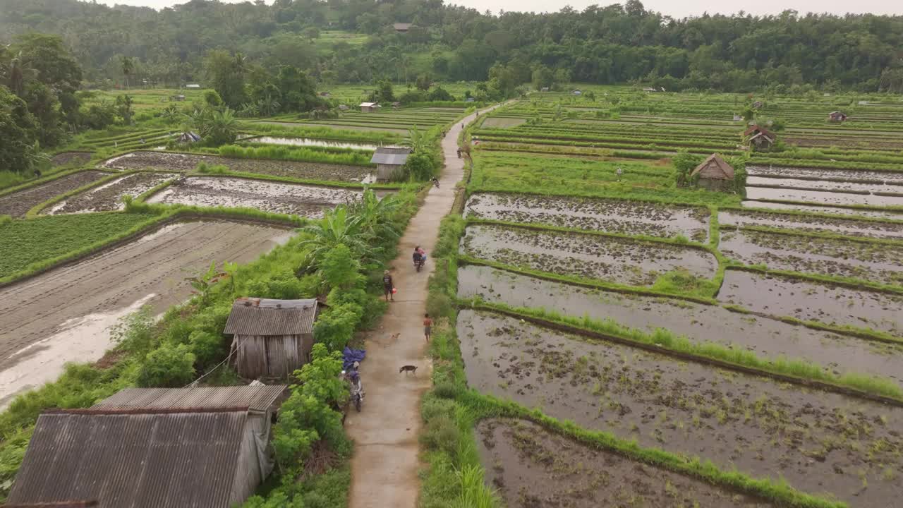 鸟瞰稻田和火山，巴厘岛，印度尼西亚。视频素材