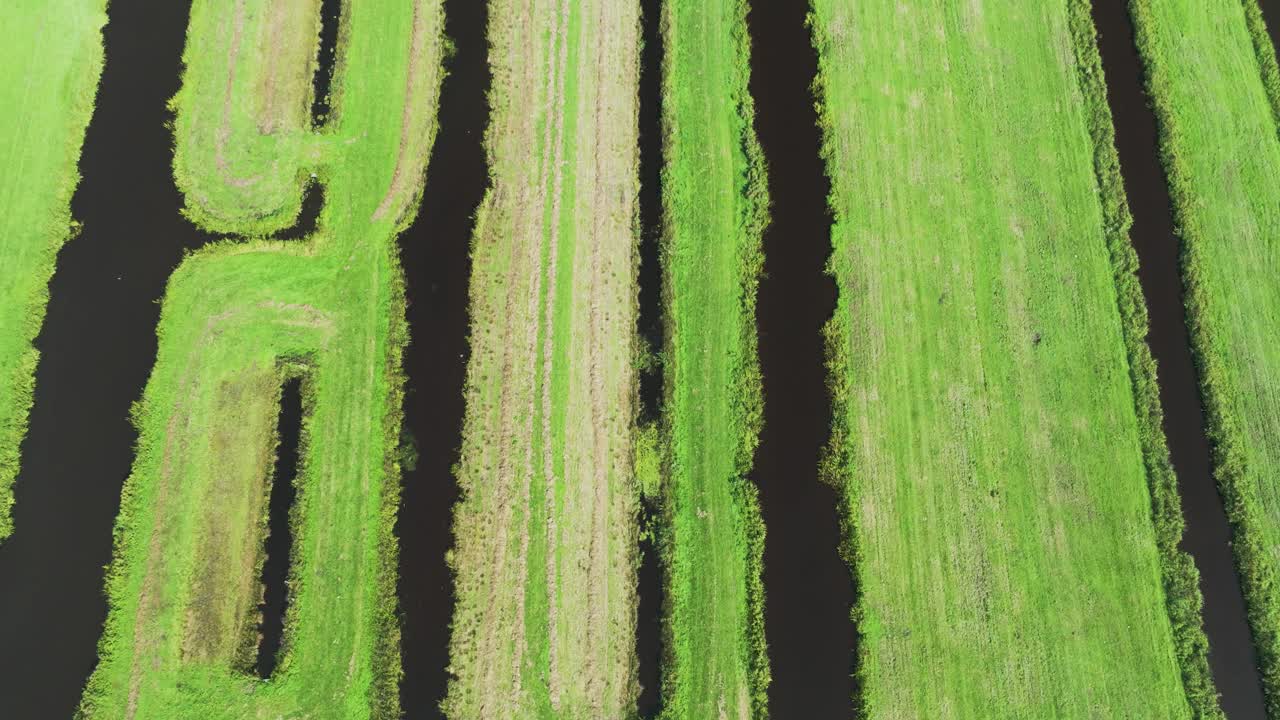 荷兰自然保护区的绿色草地和沟渠鸟瞰图。视频素材