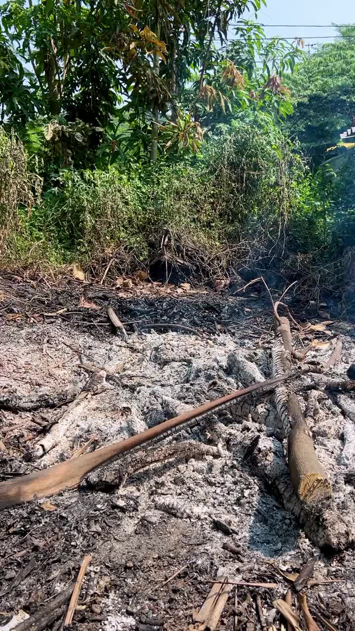 火就要熄灭了视频下载