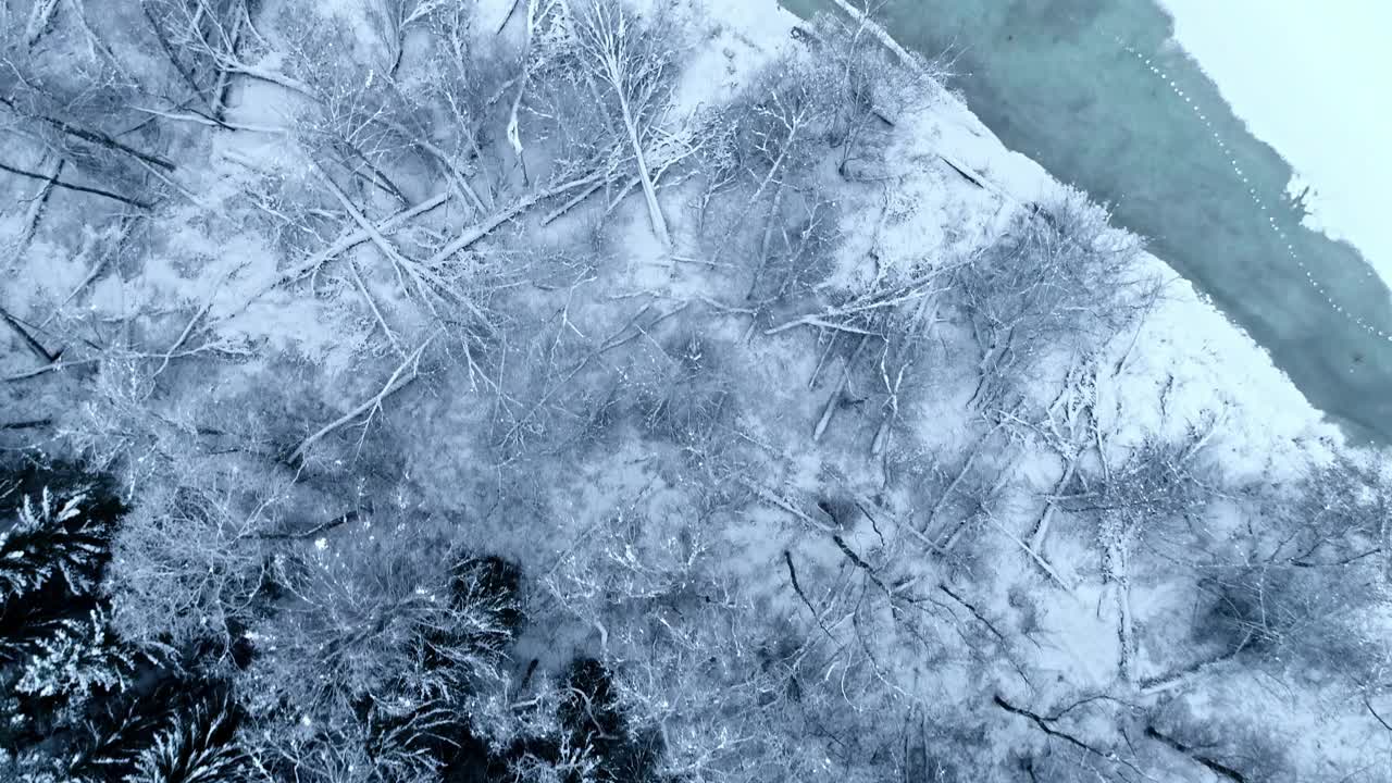 在寒冷的冬季，森林和冰冻的湖泊，鸟瞰图视频素材