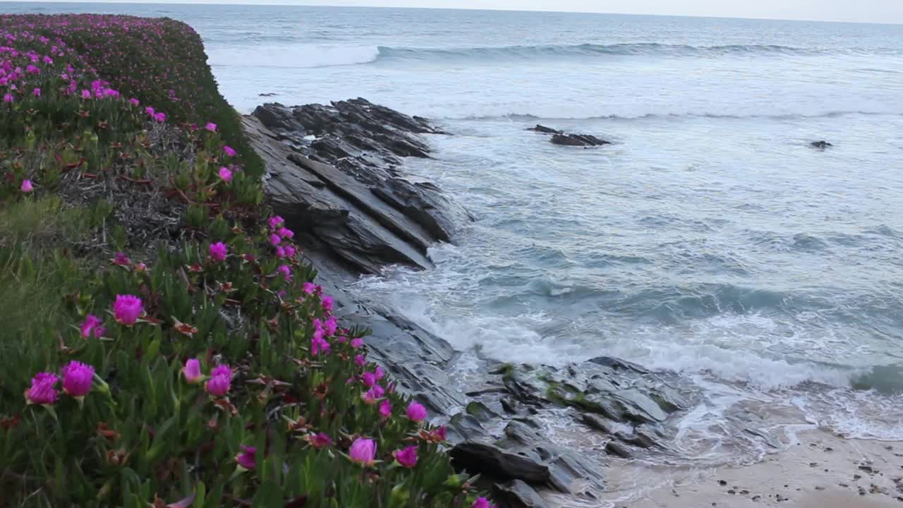 拍打着坎塔布里亚海岸的海浪视频下载