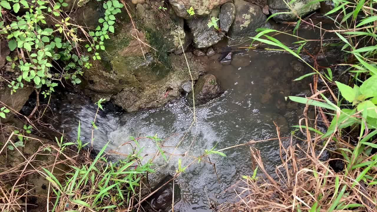 水在小河中流动，自然风光，淡水在山间流动视频素材