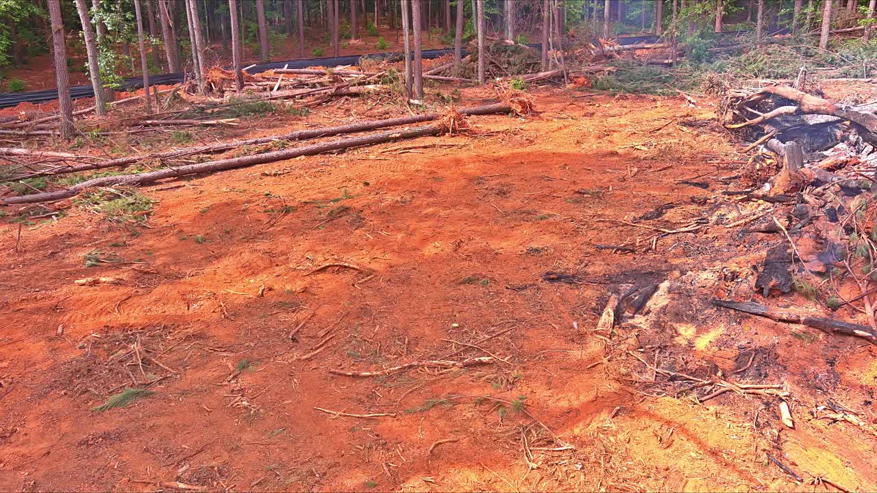 在为建房准备土地时，连根拔起的树木被砍倒烧毁视频素材