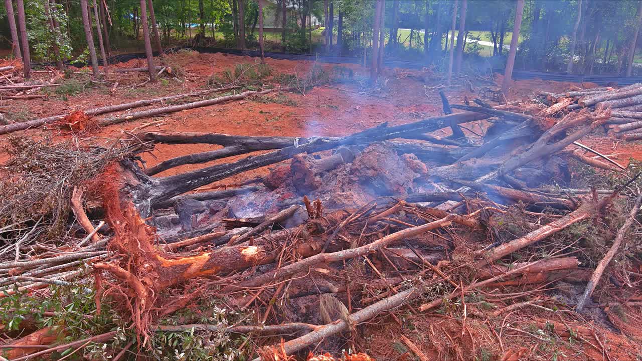 在准备土地建造房屋时，连根拔起的树木被烧毁视频素材