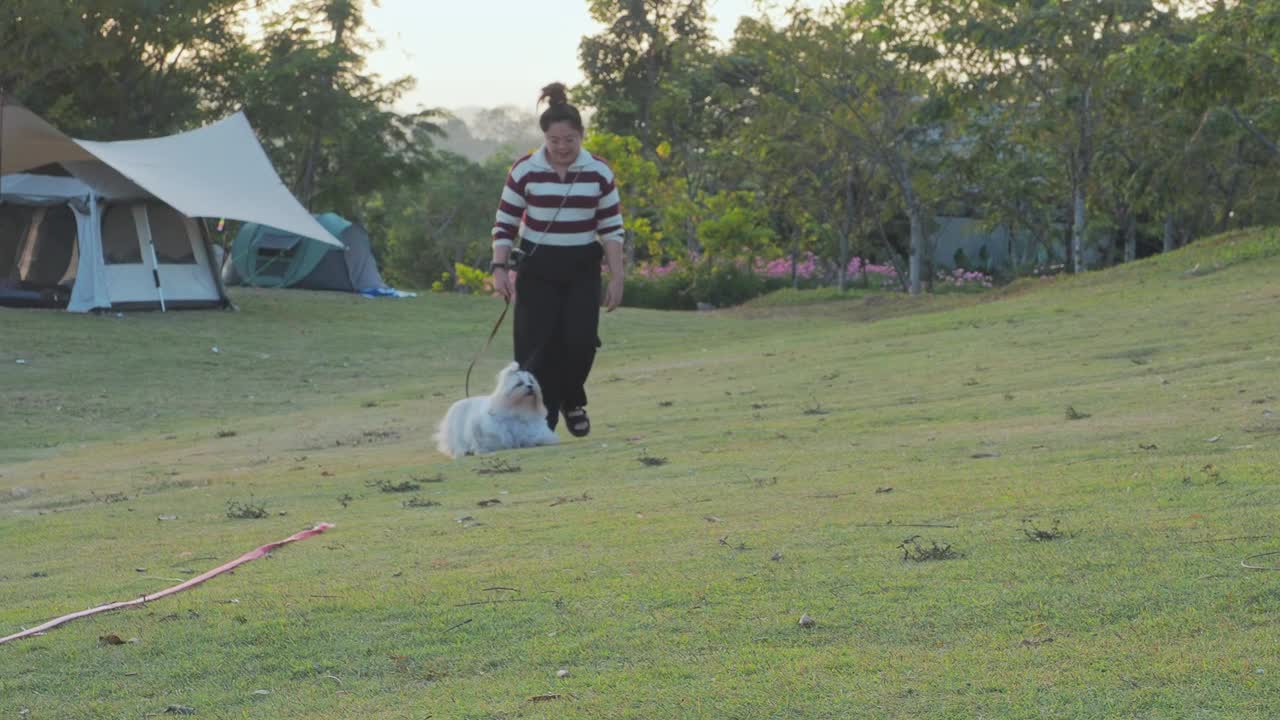 主人用皮带牵着狗在露营地的草地上散步。狗主人的快乐休闲视频素材