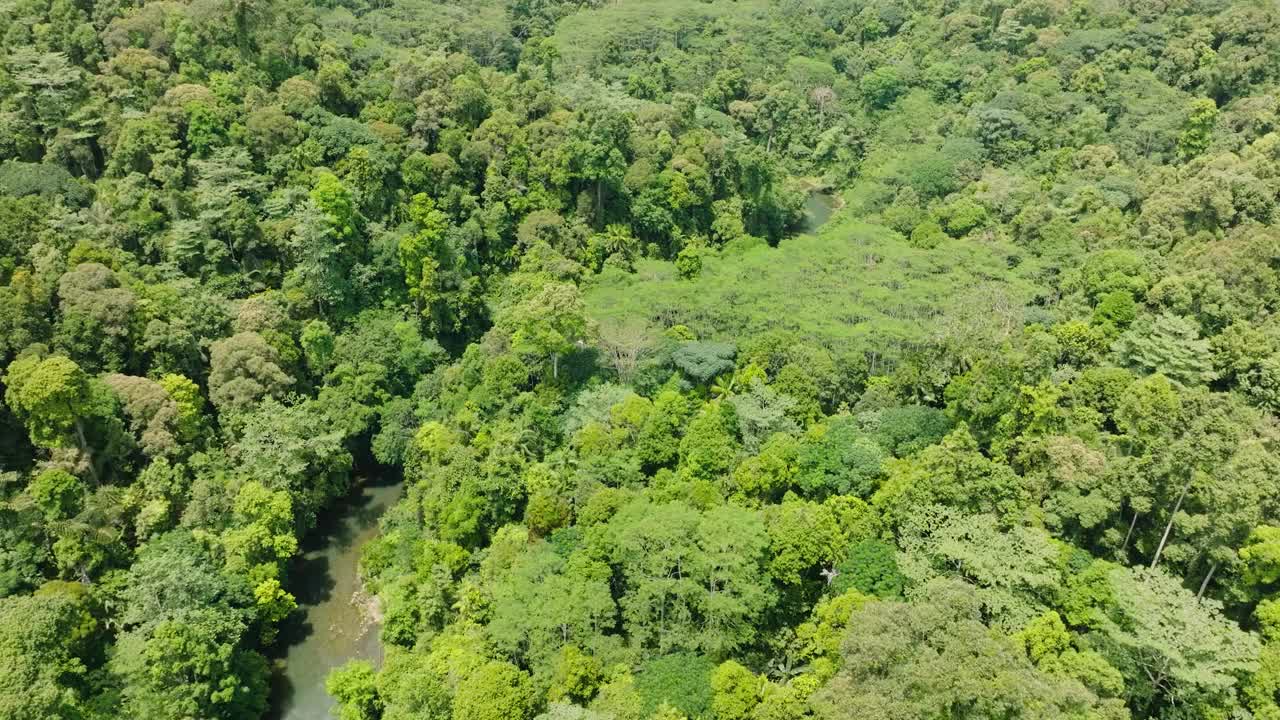 热带山地与河流的航空测量。菲律宾。视频素材