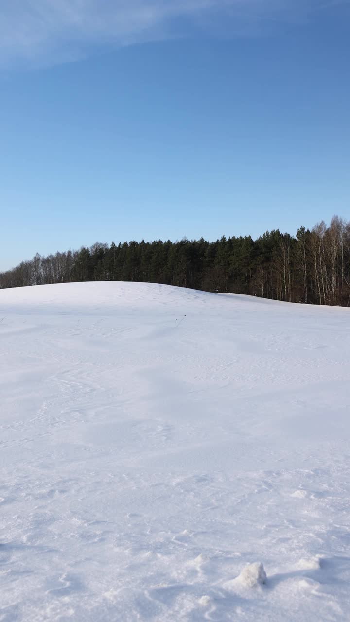 晴朗的天气下完一场美丽的新雪视频素材