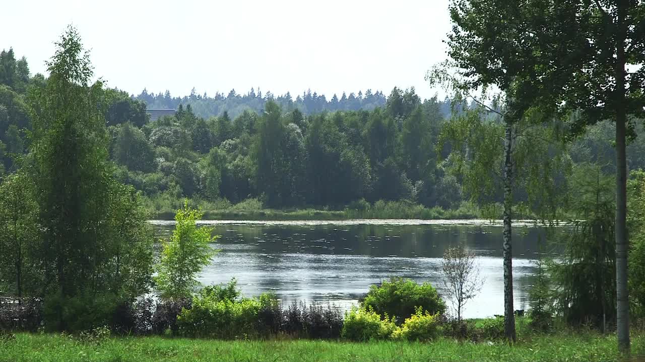 美妙的风景与森林中的湖泊和草地在前景。视频下载