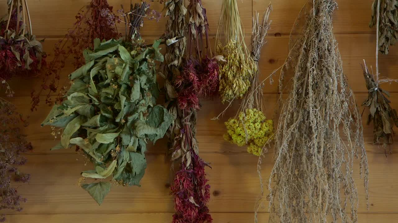 挂在墙上的各种干植物和草药。视频下载