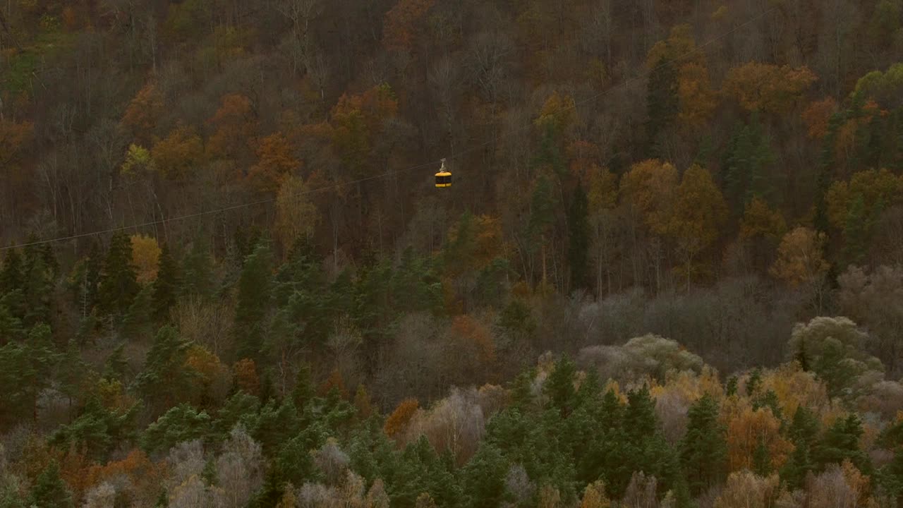 深秋在锡古尔达的森林上空乘坐空中有轨电车。视频素材