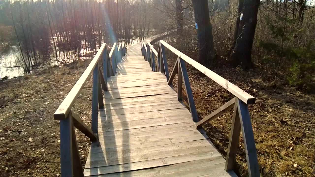 沼地上的老木桥视频素材