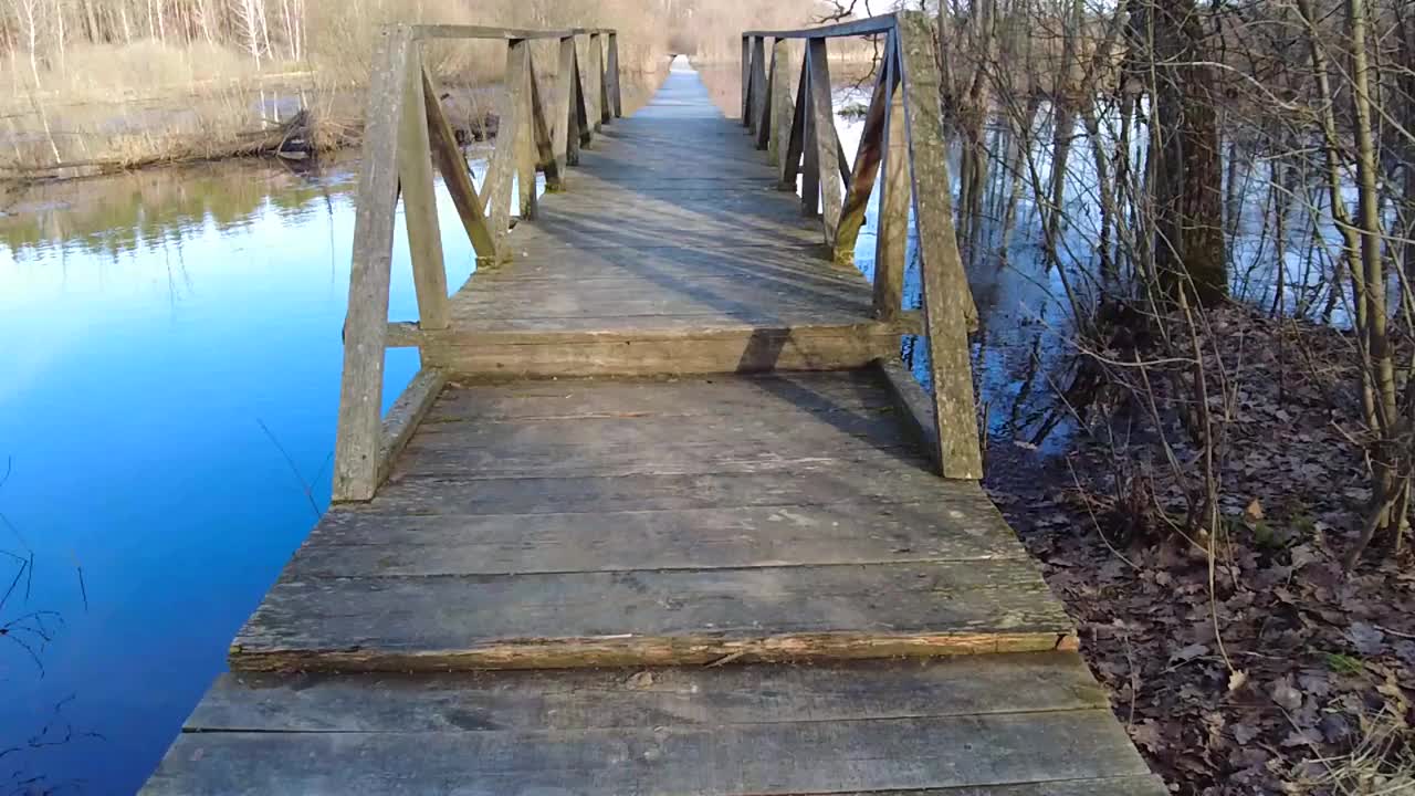 沼地上的老木桥视频下载