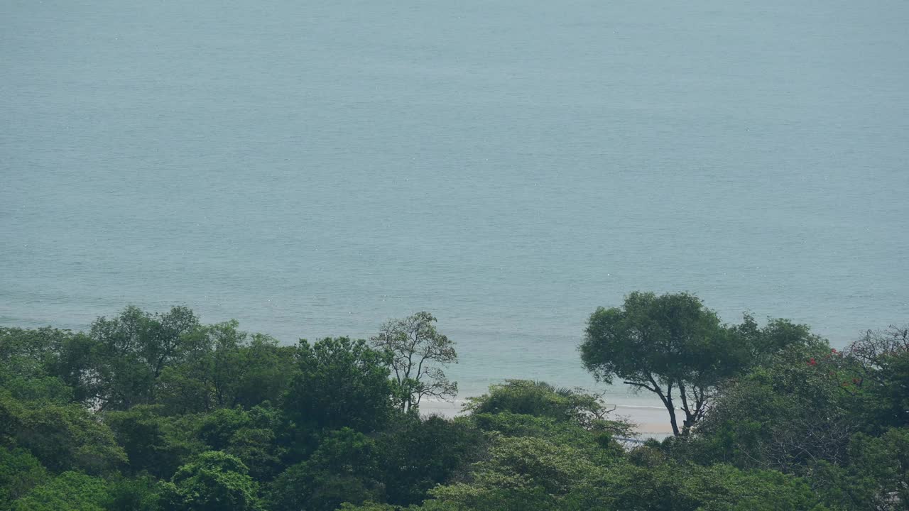 鸟瞰美丽的海滩和森林，旅游目的地视频下载