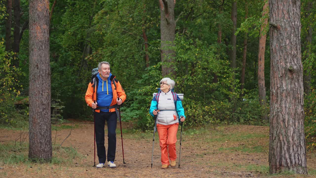 徒步旅游探险。老年夫妇，男人，女人，享受户外娱乐，在森林里徒步旅行，快乐的老人，背包客，徒步旅行者，享受徒步旅行，徒步旅行旅游，积极的假期，大自然的美丽视频素材