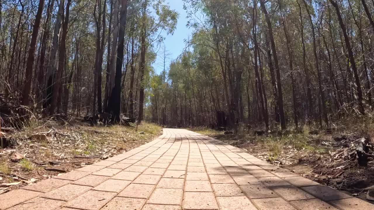 穿越森林小径的旅程视频素材