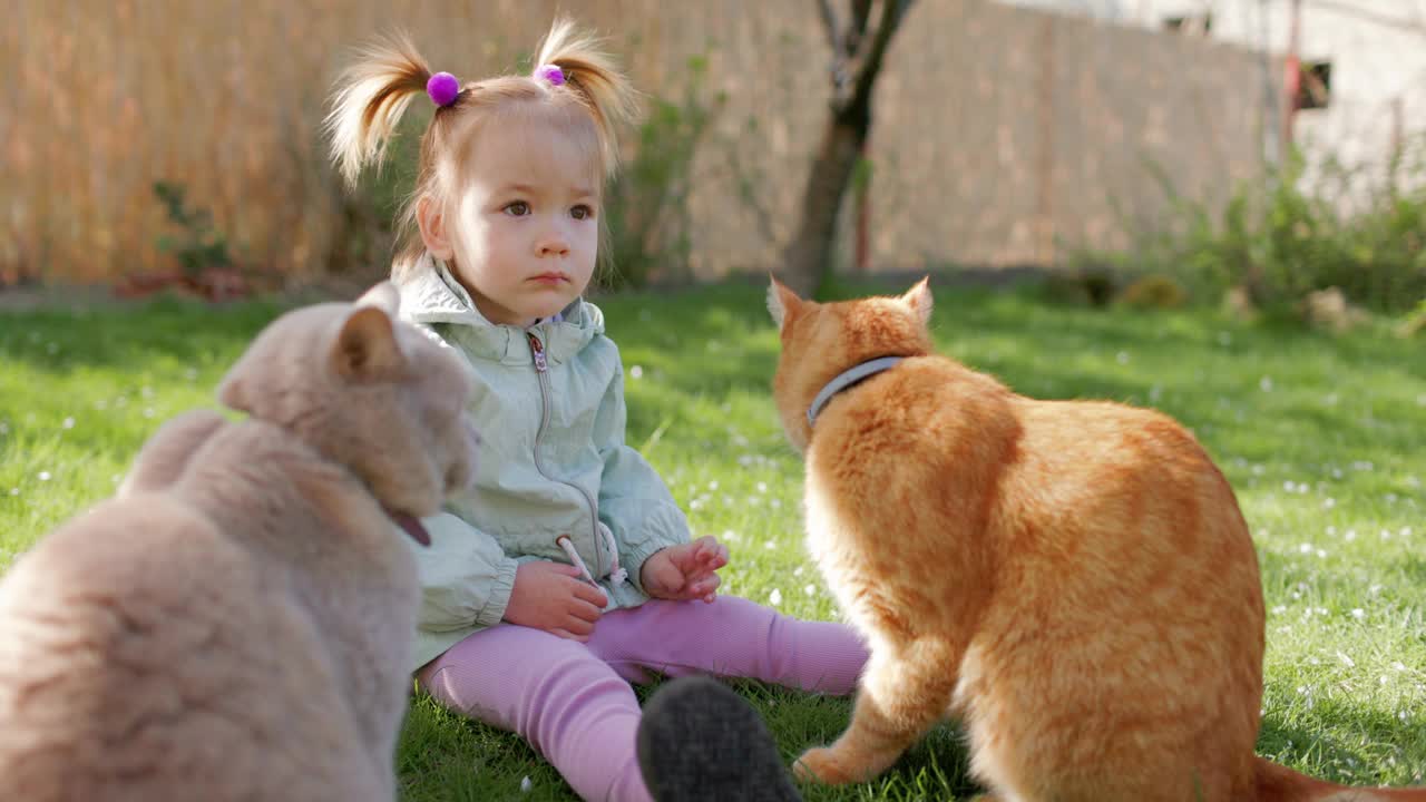 可爱的小女孩坐在草坪上和她的猫在春天的后院花园视频素材