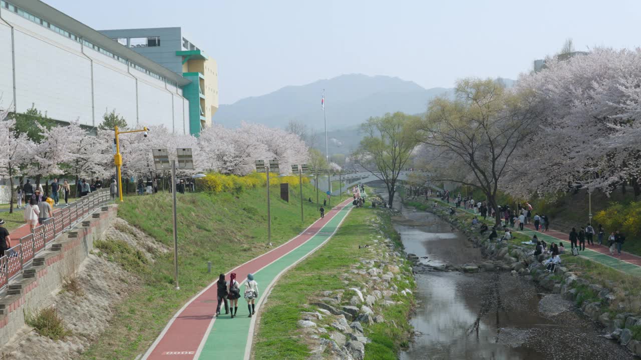 韩国首尔瑞草区良才市民森林城市公园的全景图，公园内樱花盛开。空中拍摄视频素材