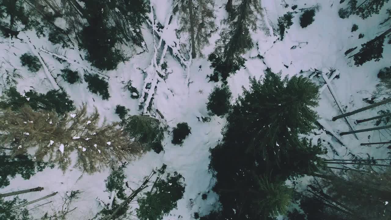 4K无人机飞越白雪皑皑森林的视频。视频下载