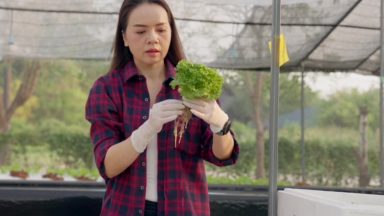 一个女人手里拿着一株植物视频素材