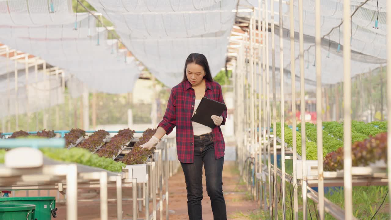 一个女人手里拿着平板电脑，正穿过温室视频素材