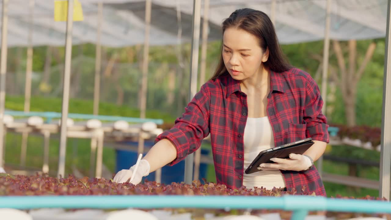 一位妇女正在温室里照料植物视频素材