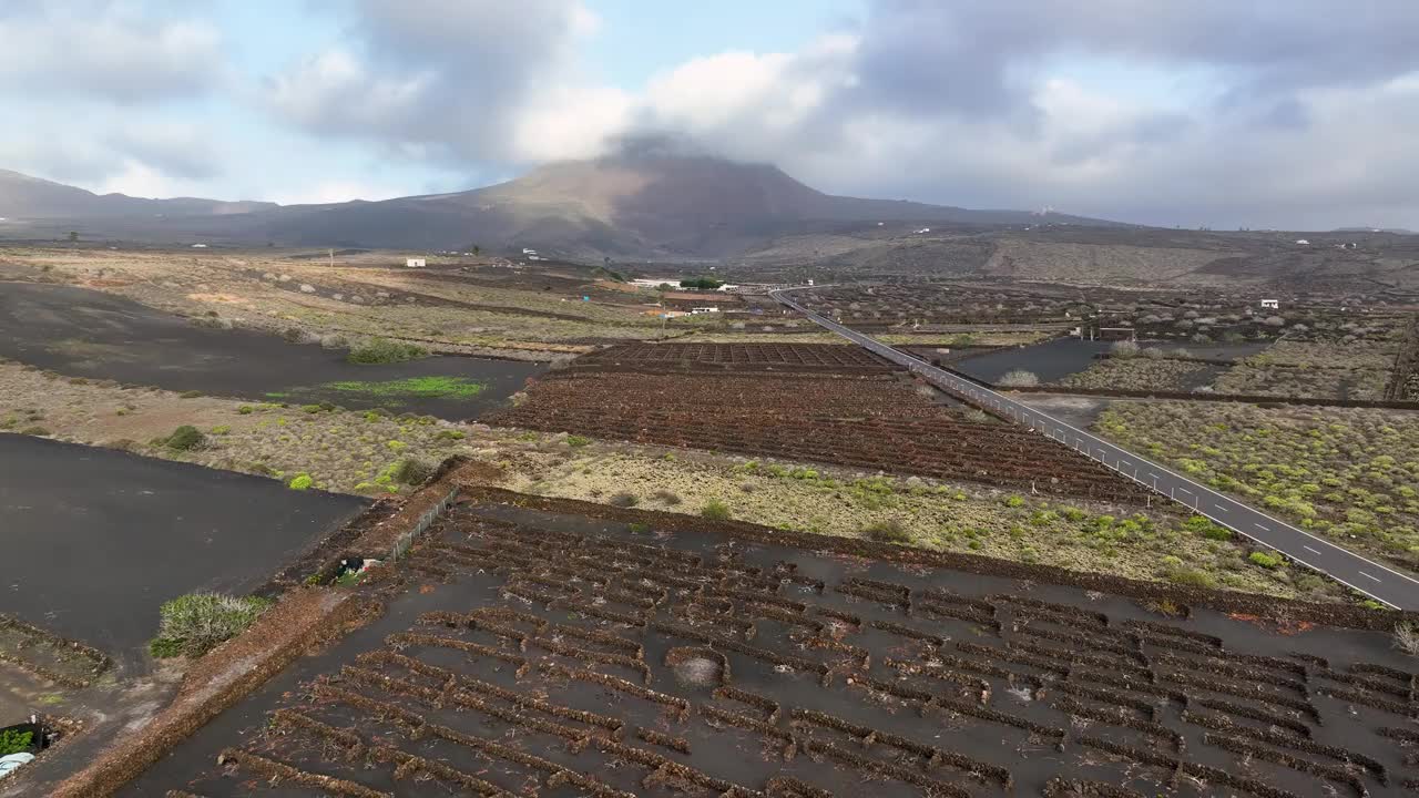 西班牙加那利群岛兰萨罗特岛葡萄园黑色火山灰轨迹，无人机鸟瞰图视频素材