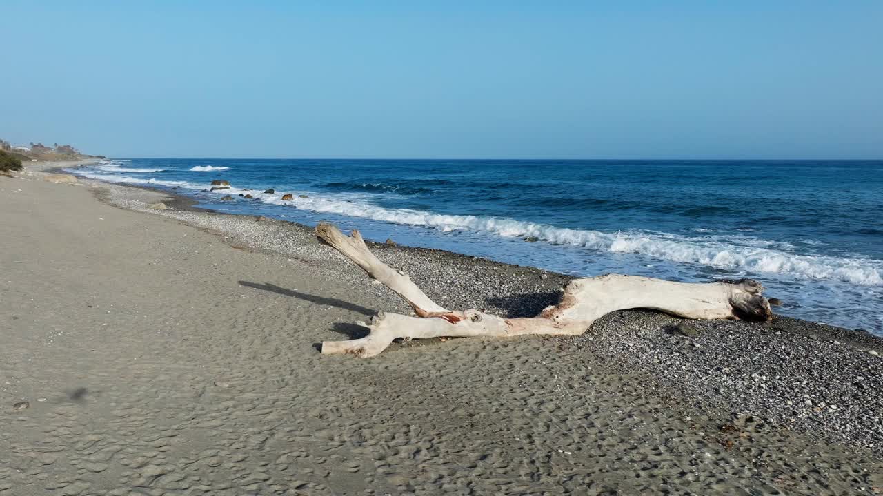 海滩上的树干剪影和海岸上的咸味视频素材