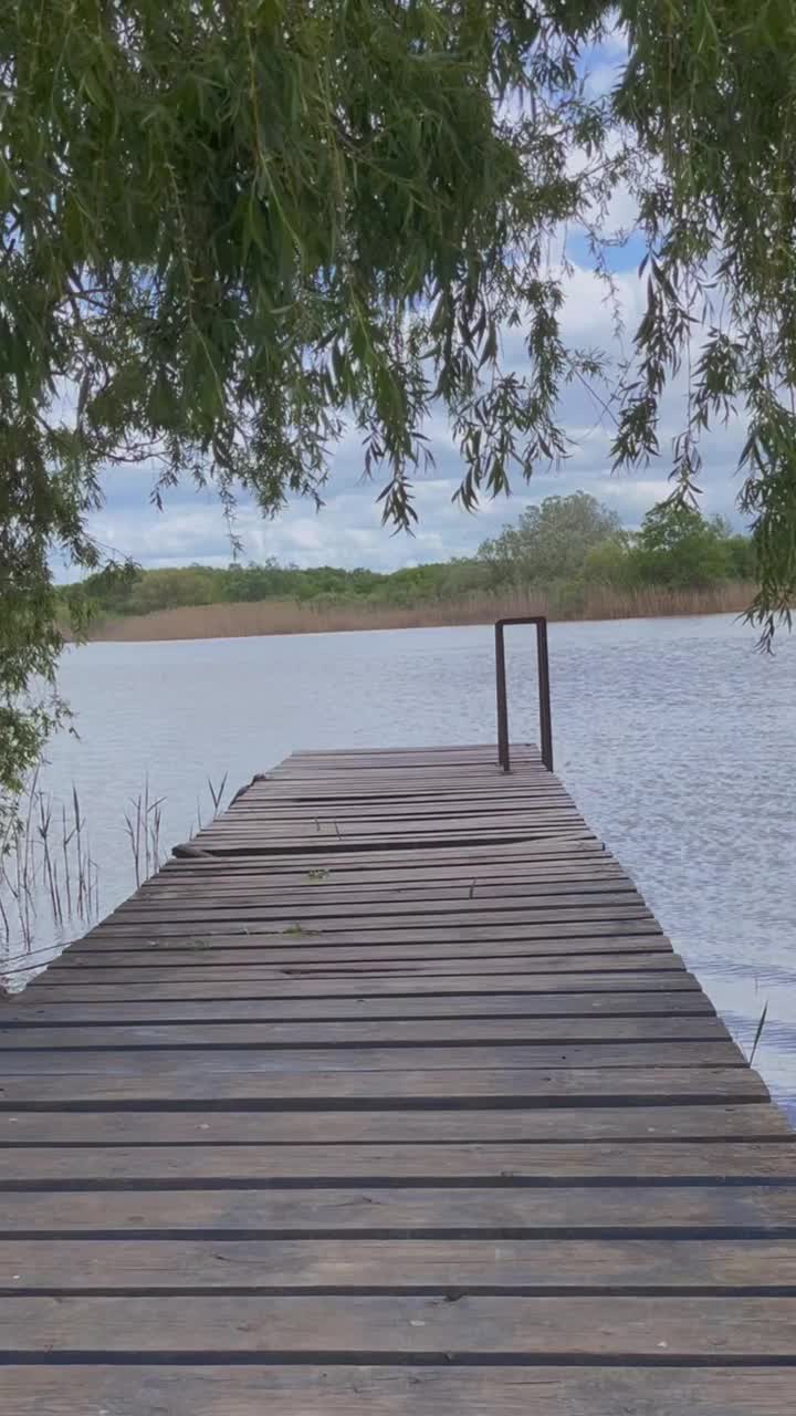 河木码头。风把柳枝吹过河墩视频素材