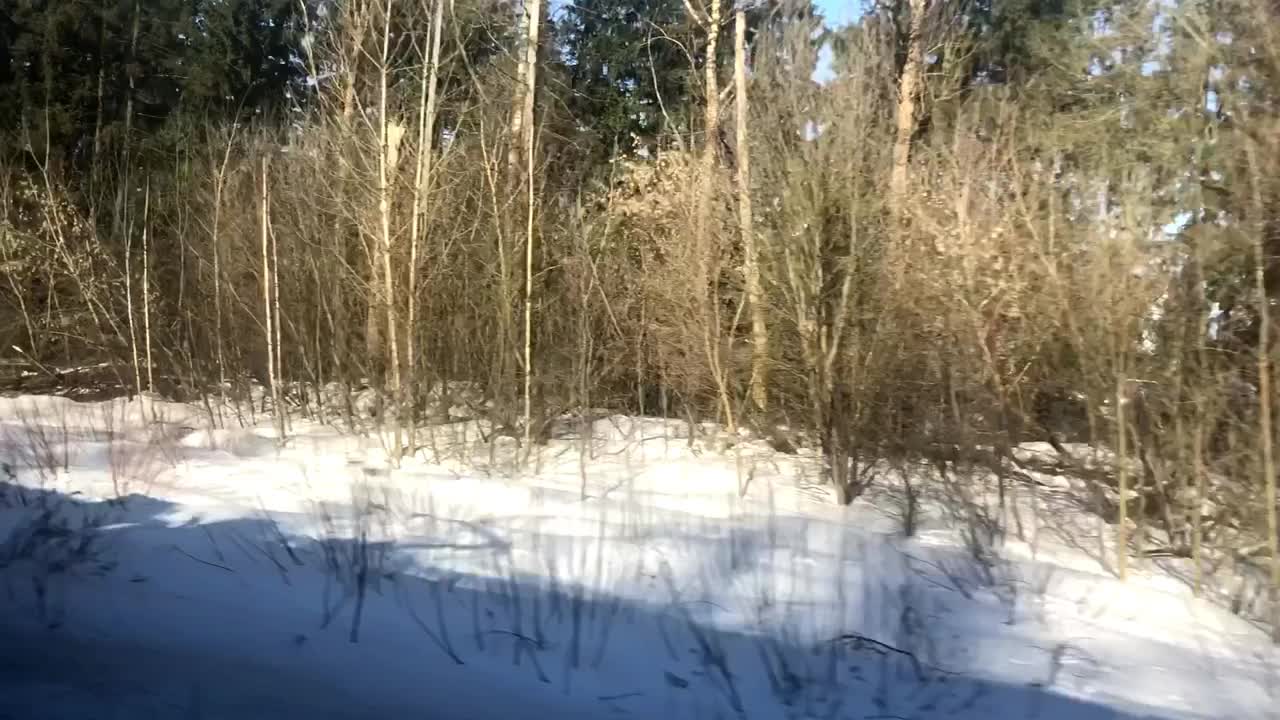 从一列经过的火车的窗户看到冬天的森林和村庄的房子。视频下载