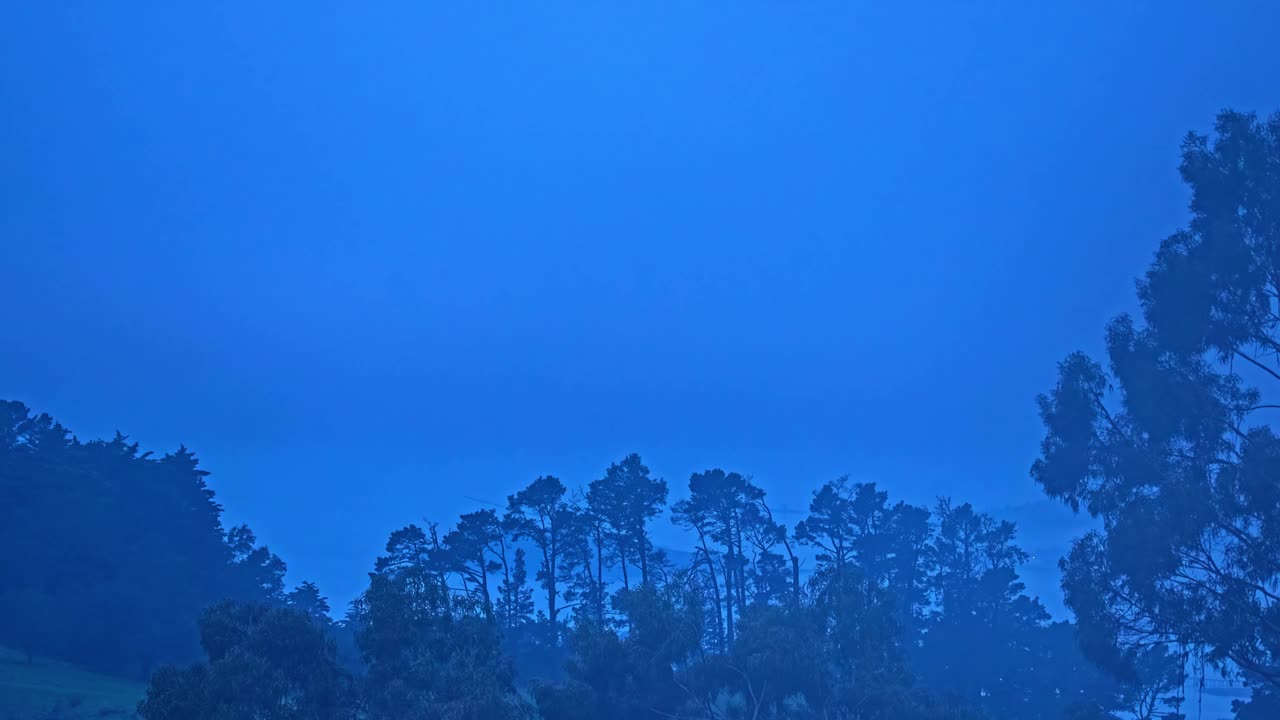 蓝雾在森林植被神秘的幽灵可怕的时间流逝概念视频素材