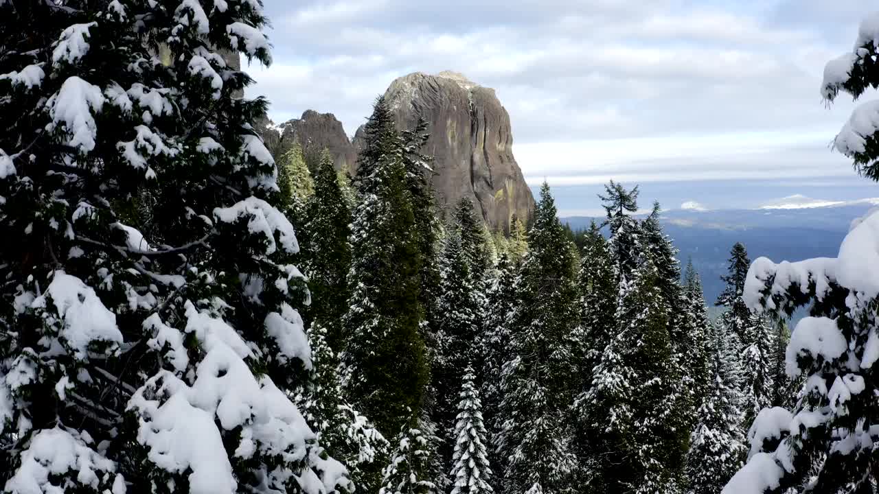 前景有树的雪山视频素材