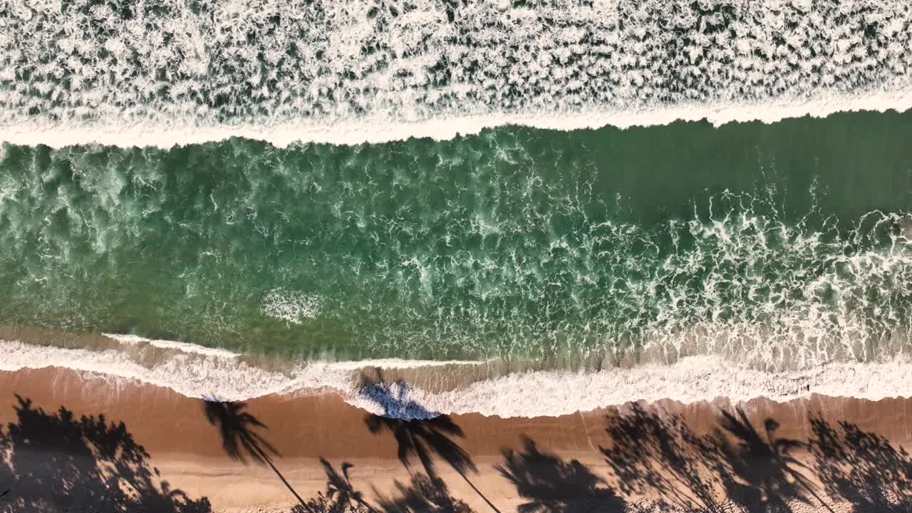 从上面看到的海浪和沙滩上椰子树的阴影视频下载