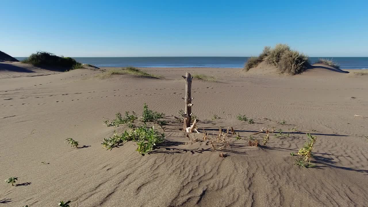 宁静的海滩与未受影响的沙丘和温柔的海浪。4K镜头视频下载