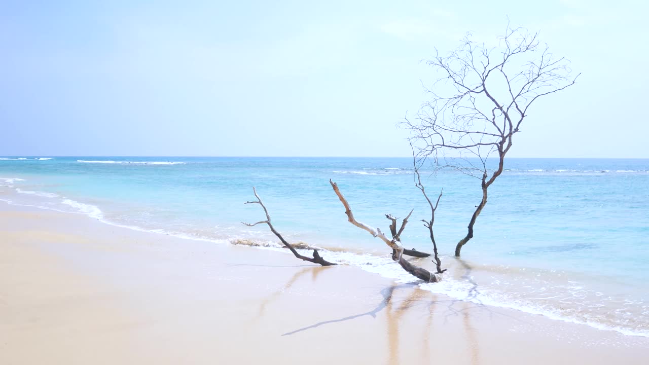 热带天堂海滩与清澈的水，原始的白色沙滩由郁郁葱葱的绿色植物和蔚蓝的海水接壤。安达曼群岛，印度视频下载