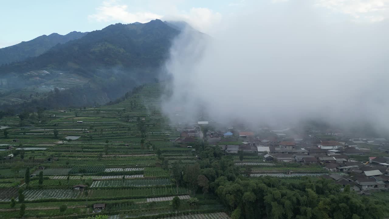 鸟瞰图:印度尼西亚中爪哇，Selo Boyolali，早晨，雾或云覆盖着默拉皮火山山腰，周围是菜园和村庄居民点或房屋视频素材