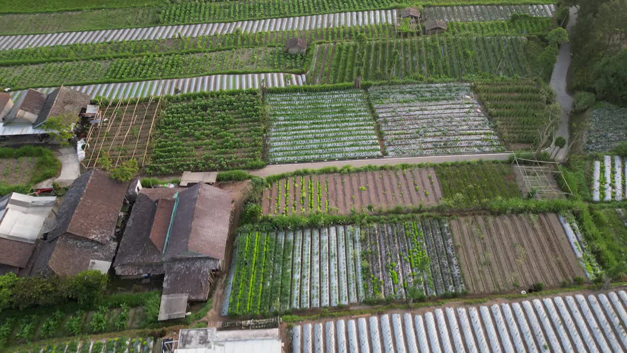 鸟瞰美丽的日出在Merbabu山的山腰在早上与蔬菜花园和村庄定居点或住房在Selo Boyolali，中爪哇，印度尼西亚-直运动。视频素材