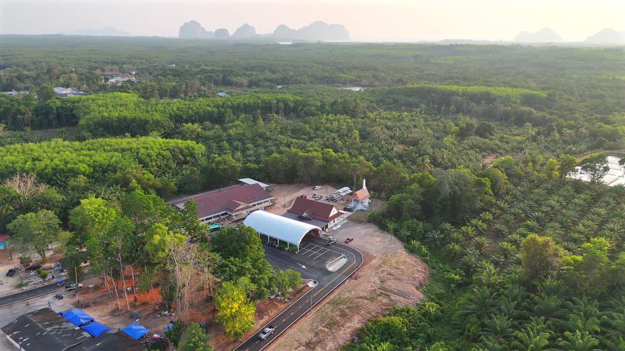 棕榈种植园农场在农村的景象从空中视频素材