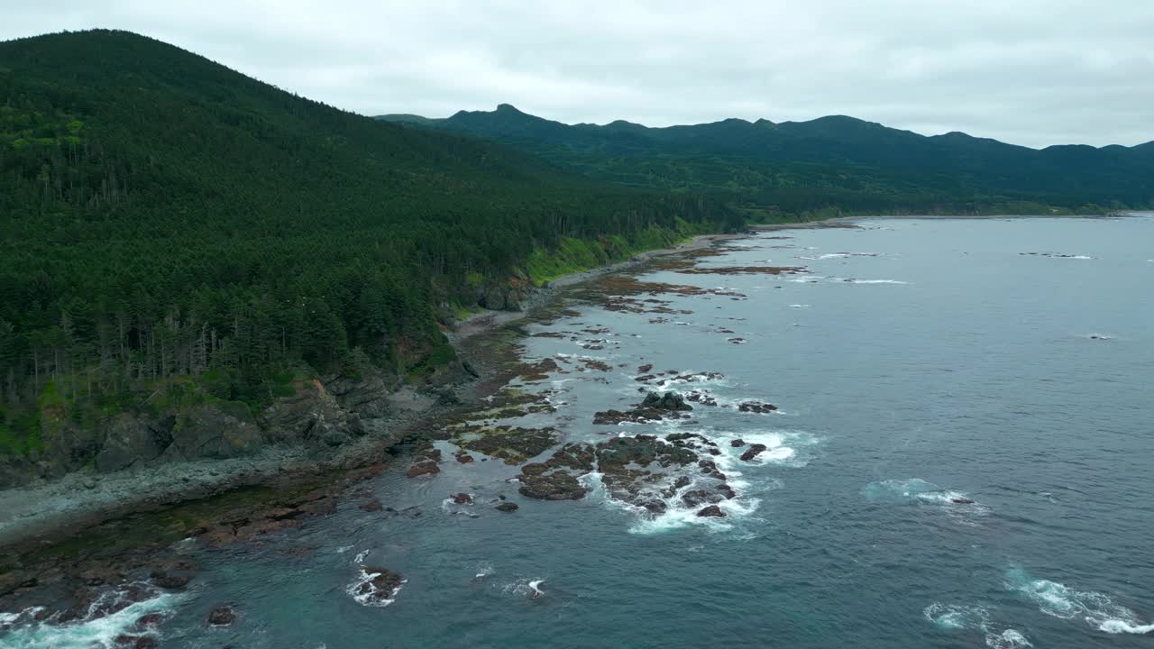 俯瞰森林山脉与岩石海岸的美丽景观。夹。风景如画的绿色森林和堤岸的波浪和岩石。石头海岸与绿林海岸山脉在阴天视频素材