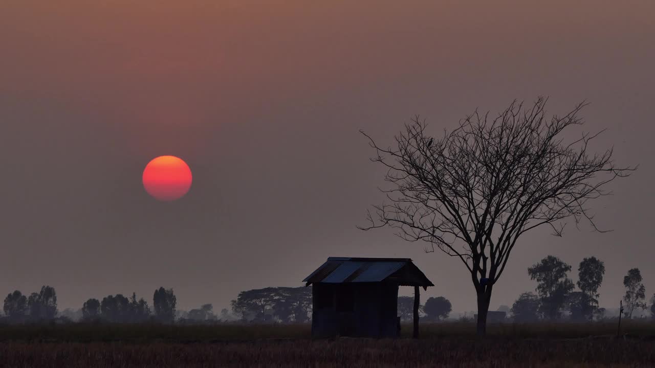 夕阳和黄昏的天空在乡村。视频素材