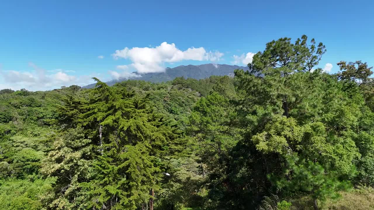 鸟瞰山林，夏日蓝天视频素材