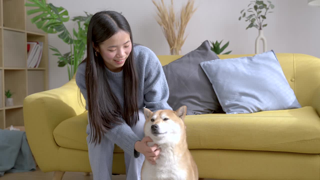 一个女人在家里和她的柴犬狗一起享受时光视频素材