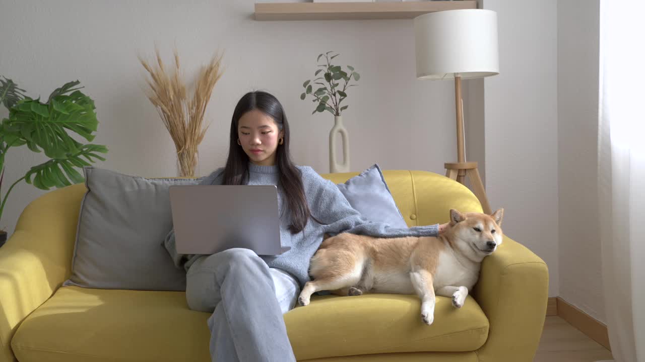 一个女人和她的柴犬在笔记本电脑上工作视频素材