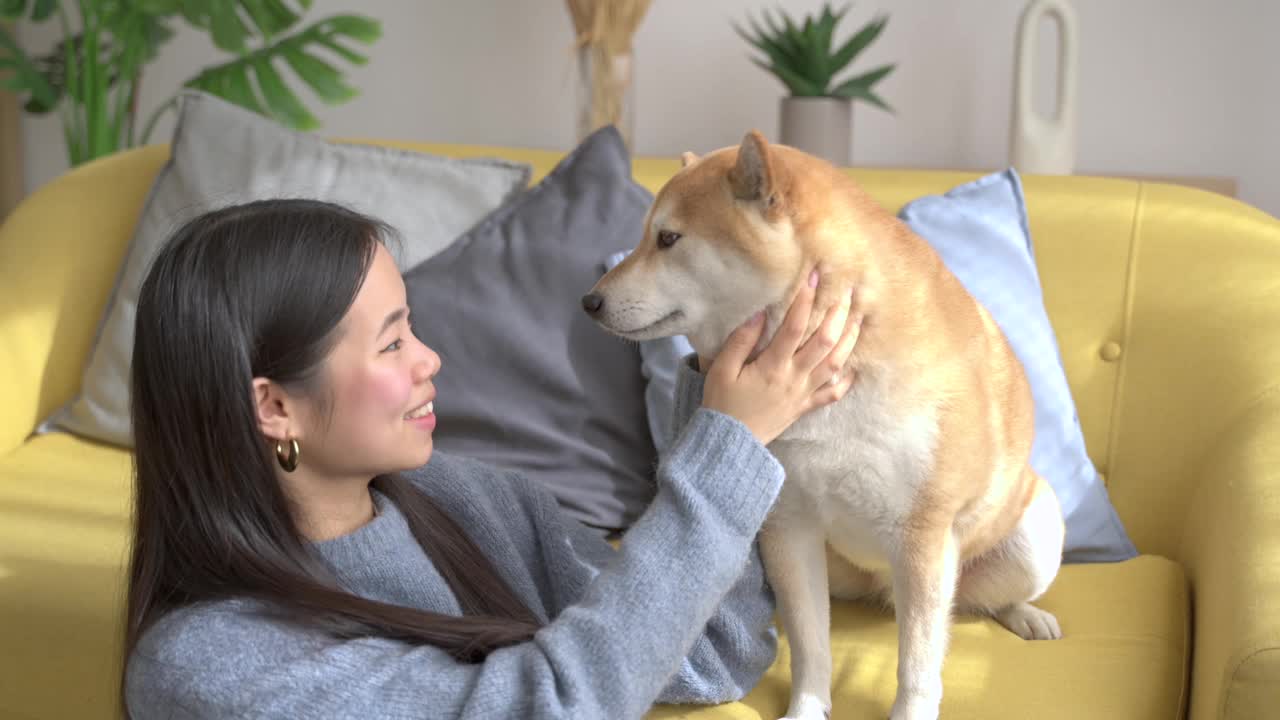 一位女士和她的宠物柴犬一起享受美好时光视频素材