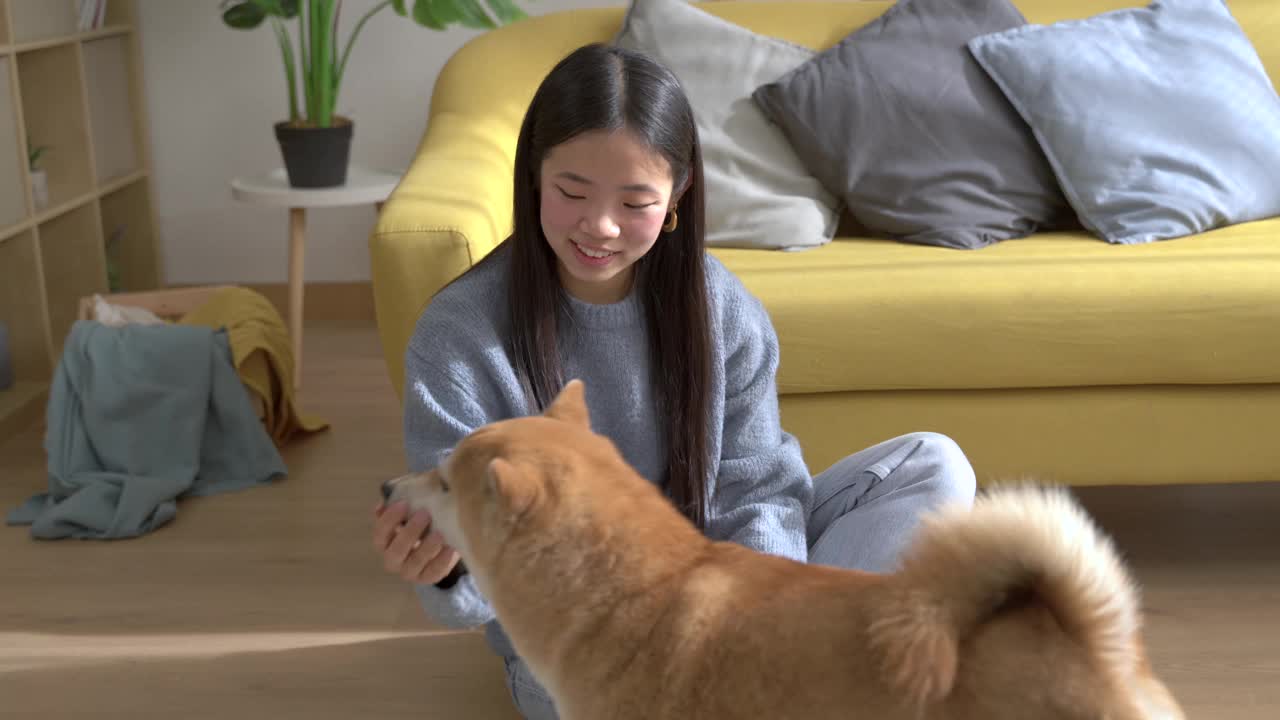 一位女士和她的宠物柴犬一起享受美好时光视频素材