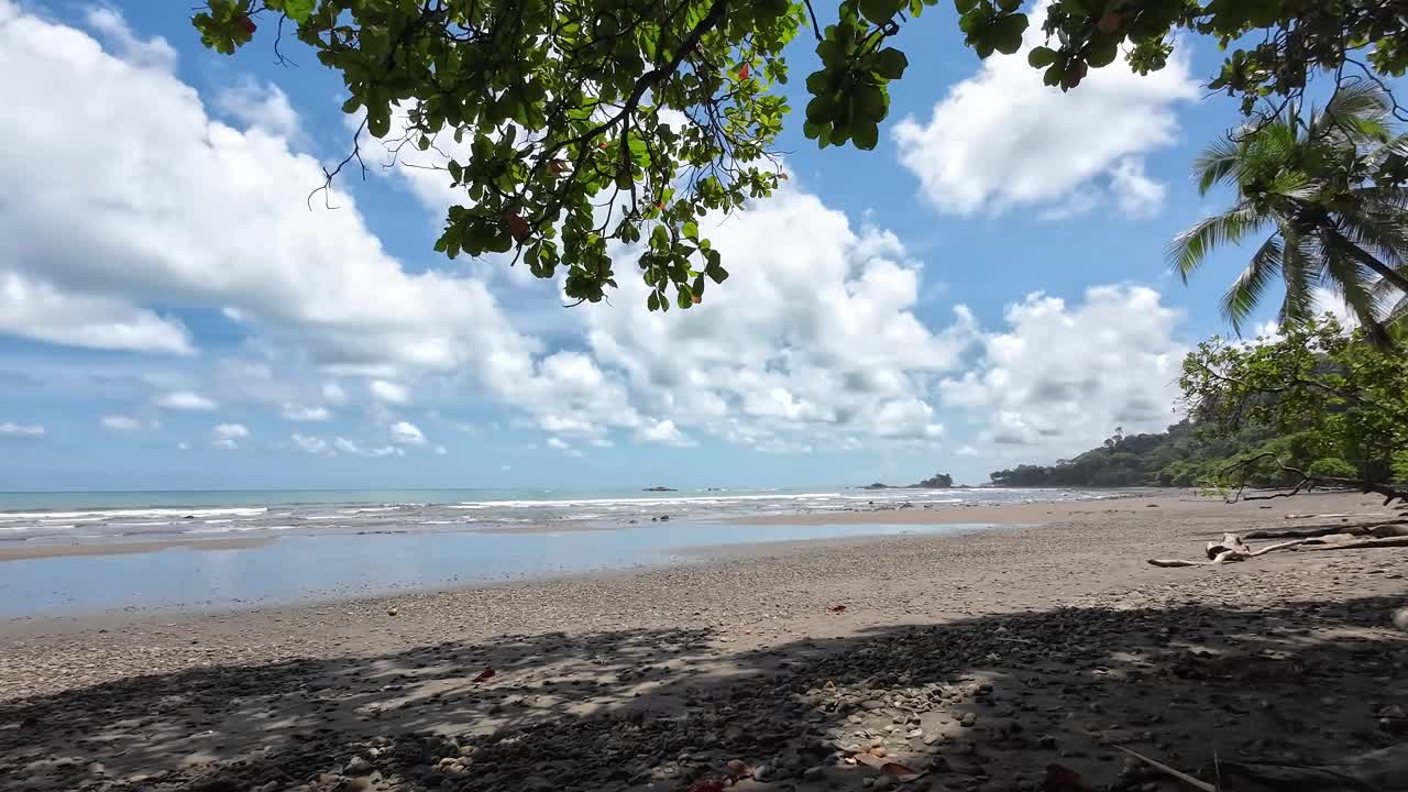 空旷的沙滩，柔和的海浪，棕榈树-纯粹放松的4K分辨率复制空间视频下载