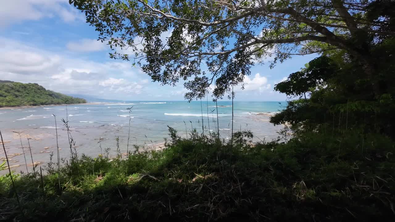 太平洋海岸的天堂，哥斯达黎加的天然沙滩和棕榈树视频下载