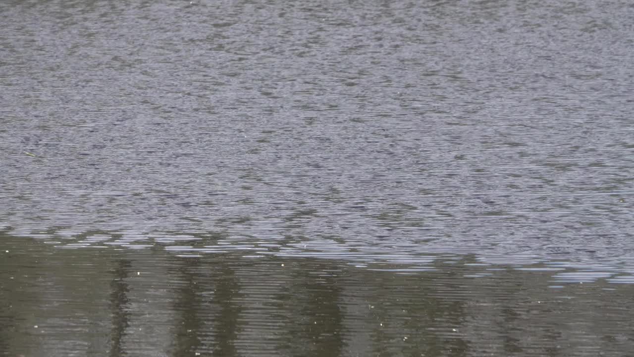 湖面上的波浪和倒影。视频下载