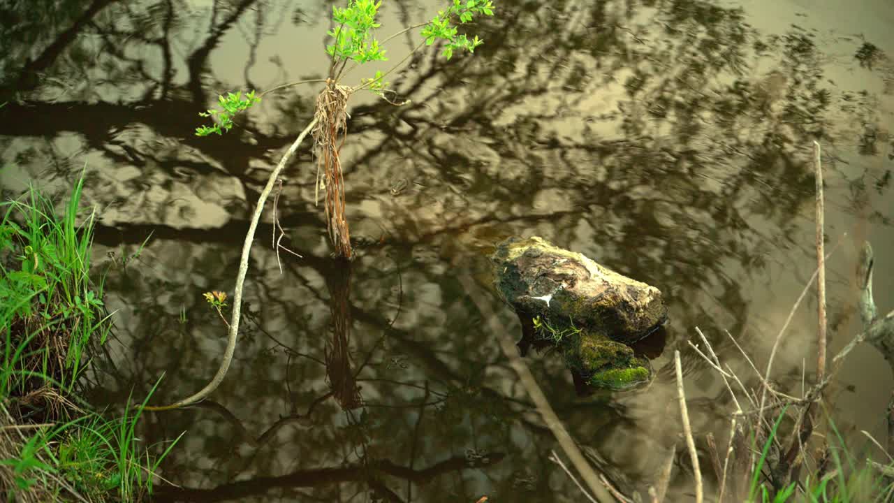 海岸边的水。视频素材